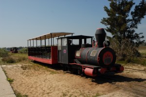 For the lazy, you can take the train to the beach