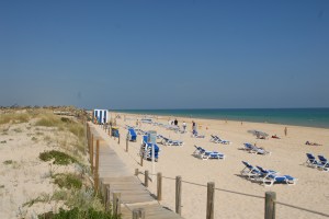 A very very long beach