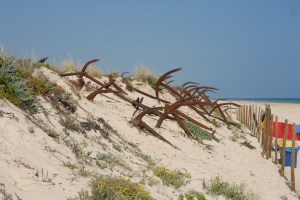 Left anchors from the time when tuna fishing was an industri in Tavira