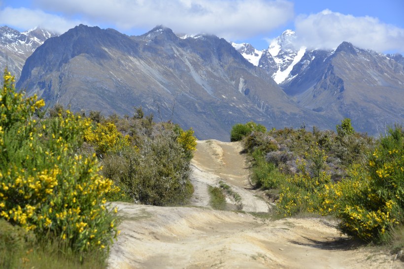 Perfect road for a 1200GS